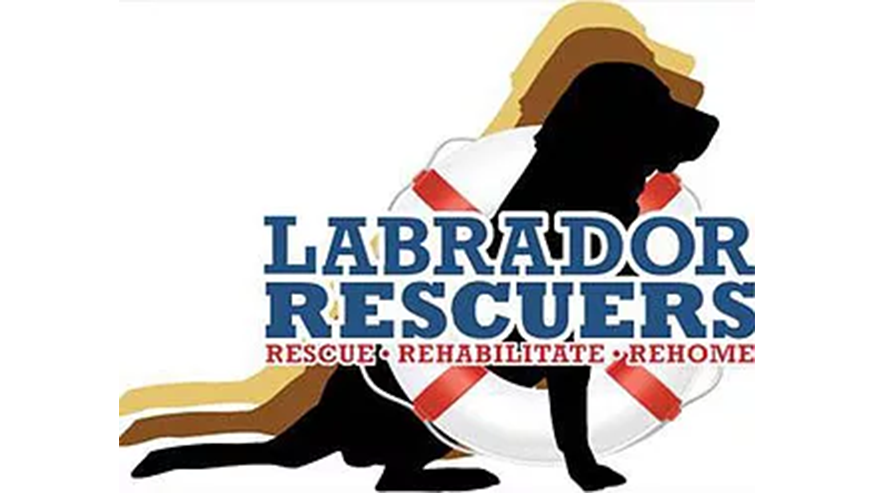 Lab Rescuers