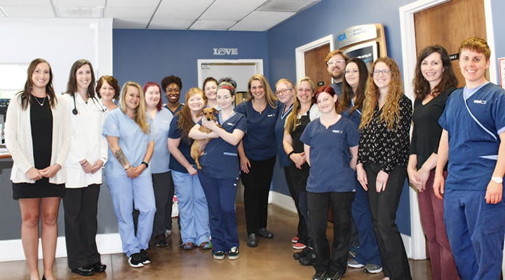 fairleigh animal hospital bardstown road