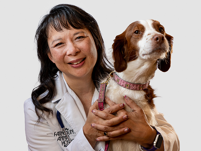 Andrea Lee | VCA Fairmount Animal Hospital