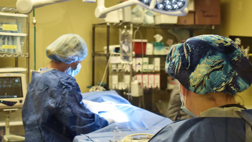 VCA Fairway General Surgery