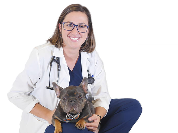 Pearl City Vets At Vca Family And Oahu Veterinary Specialty Center Primary