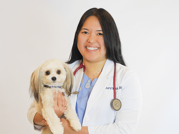 Pearl City Vets At Vca Family And Oahu Veterinary Specialty Center Primary