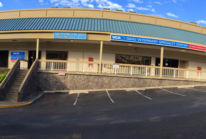 dog accessories manufacturers