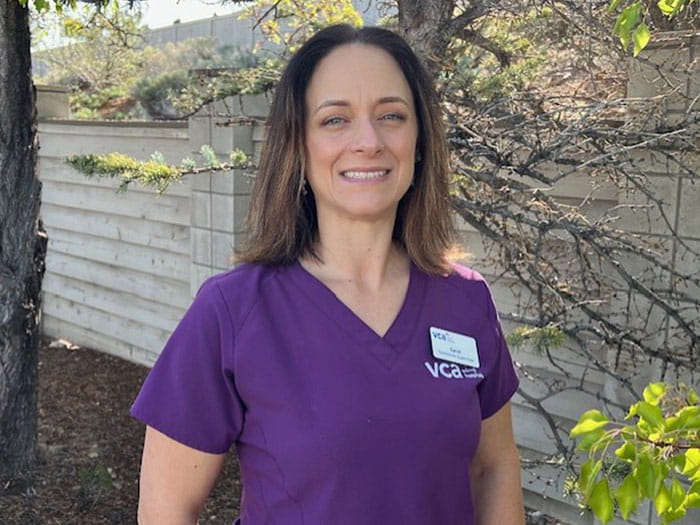 feline medical center