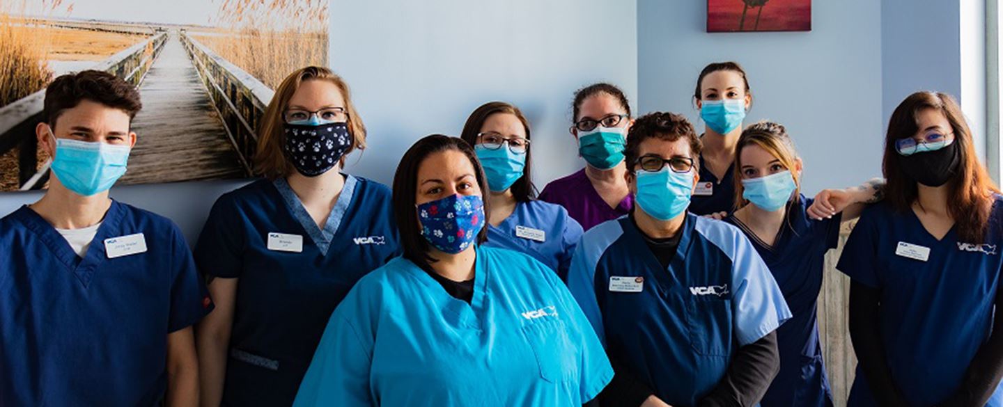 Veterinarians in Burien, WA VCA Five Corners Animal Hospital