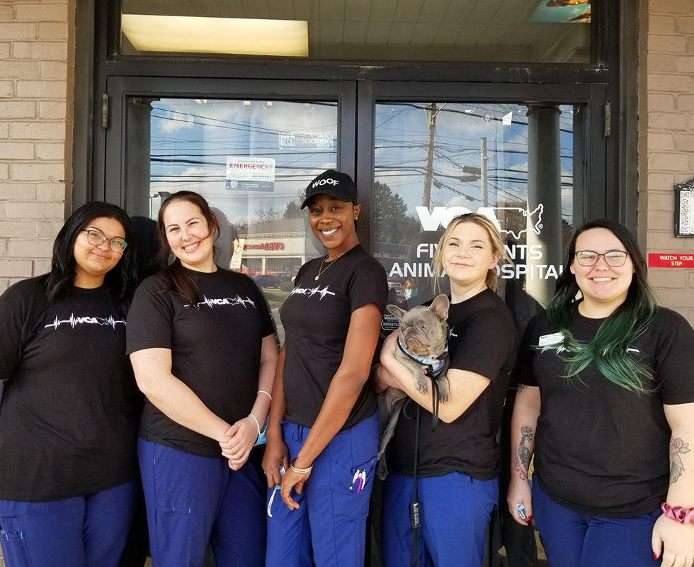 Team Picture of VCA Five Points Animal Hospital