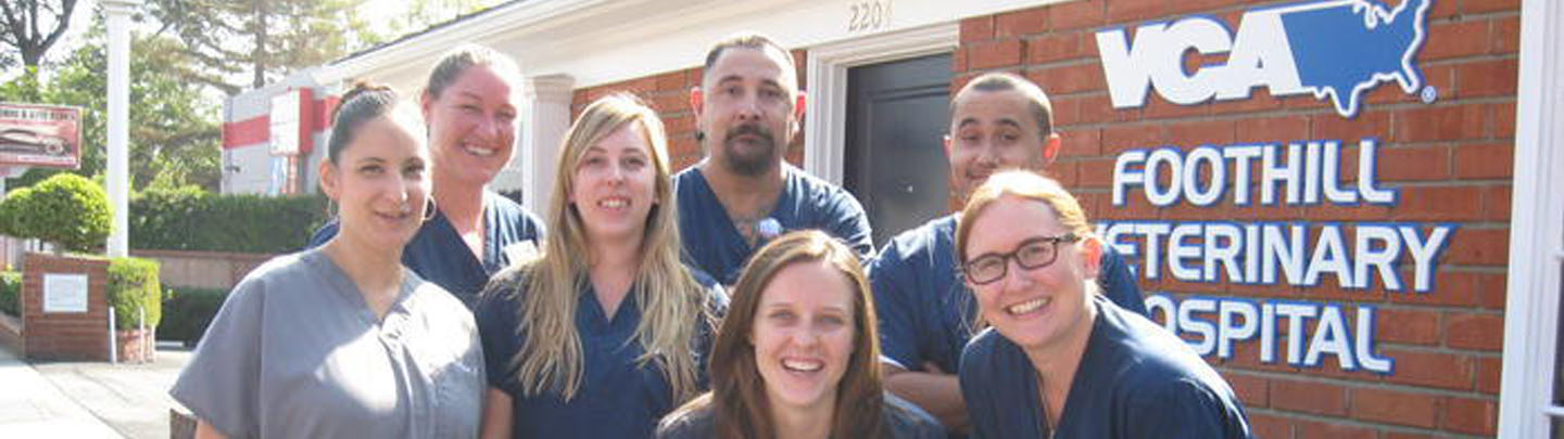 Team Picture of VCA Foothill Animal Hospital