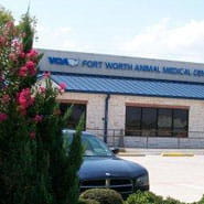 vca fort worth animal medical center
