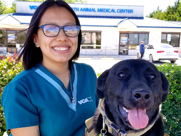 vca fort worth animal medical center