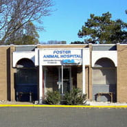 aquarium shops in kurla