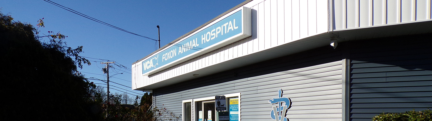 Foxon Hospital Exterior