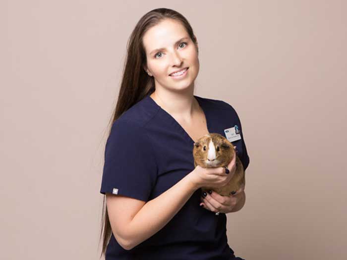 Tammy Monti Freehold Animal Hospital