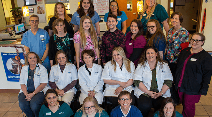 air force academy vet clinic