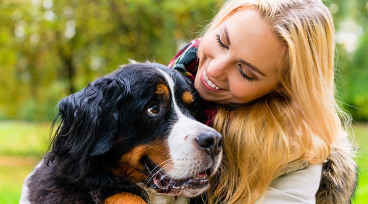 vca gaide animal hospital