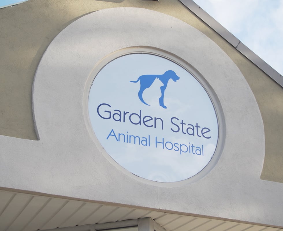 Our Hospital Vca Garden State Animal Hospital