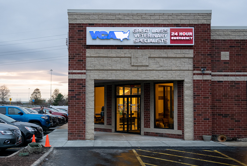 VCA Great Lakes Veterinary Specialists