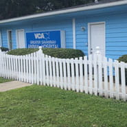 vca greater savannah animal hospital