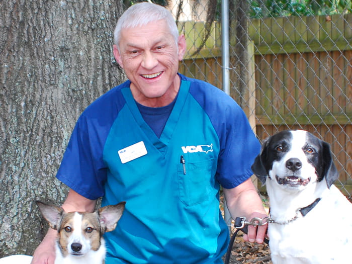 greater savannah animal hospital