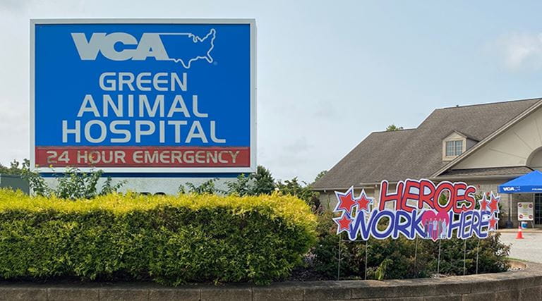 Veterinarians in Uniontown, OH VCA Green Animal Hospital