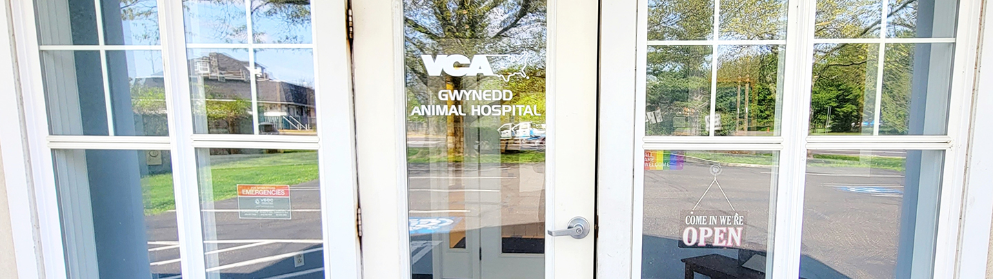 Front doors of VCA Gwynedd Animal Hospital