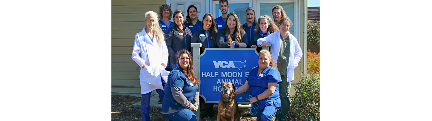 Team Picture of VCA Half Moon Bay Animal Hospital