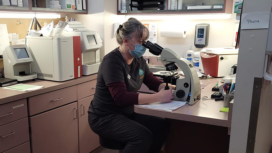 Hamilton Lab