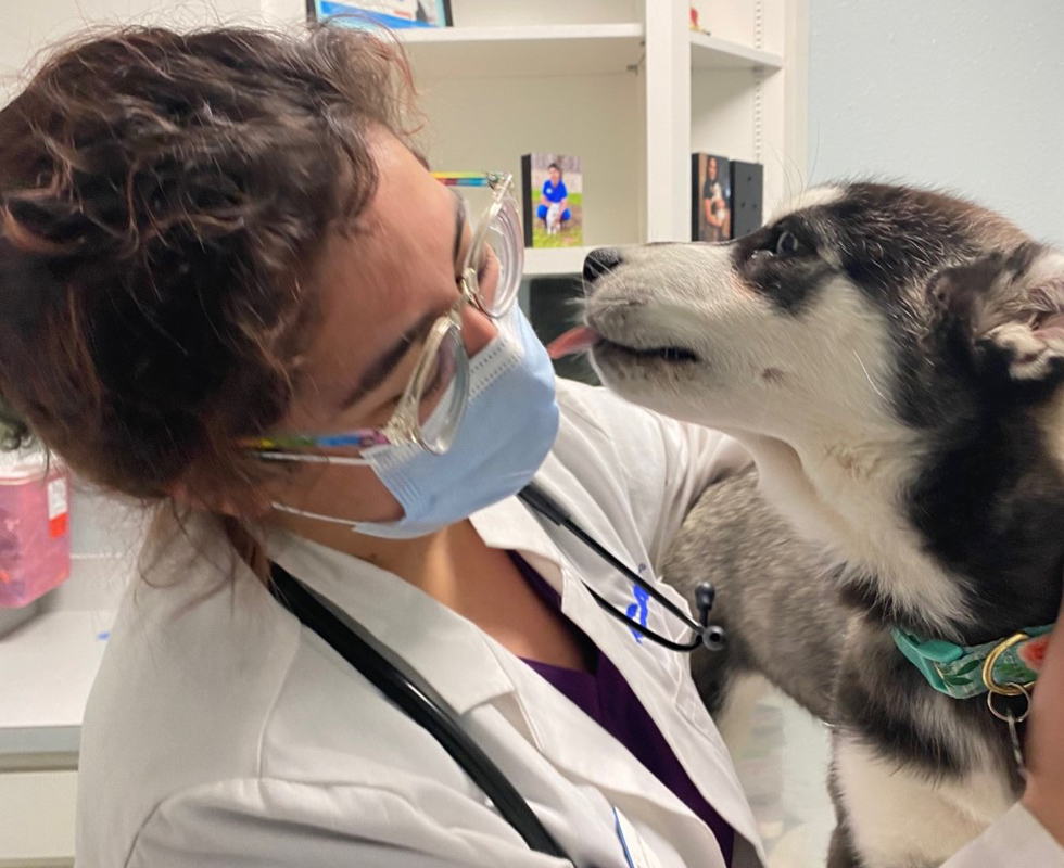 VCA Health Associates vet with dog