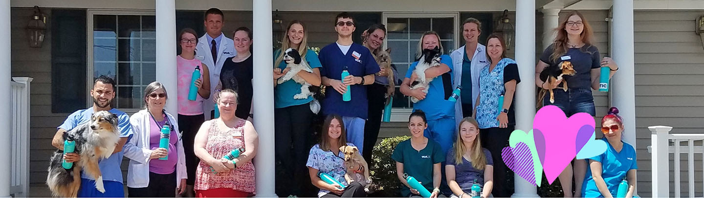 Team Picture of VCA Healthy Paws Medical Center