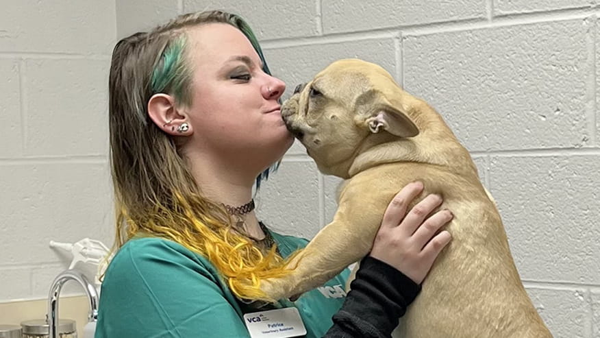 Veterinarian staff with puppy at VCA Herndon-Reston Animal Hospital