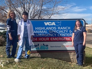 VCA Highlands Ranch Dentistry Team