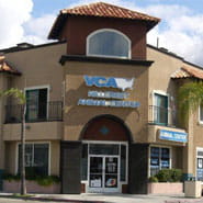 hillcrest veterinary