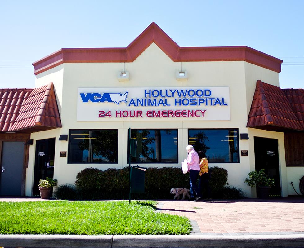 Hospital Picture of VCA Hollywood Animal Hospital