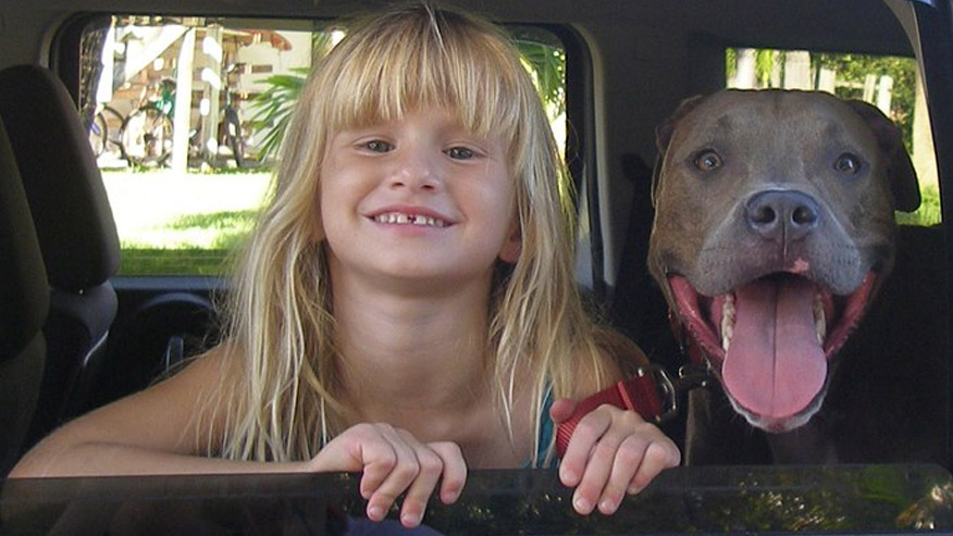 VCA Hollywood Animal Hospital girl with dog in vehicle
