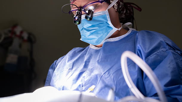 Dr. Clark in surgery at VCA Hollywood