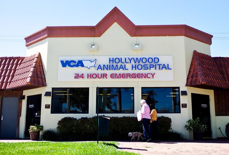 VCA Hollywood Animal Hospital 