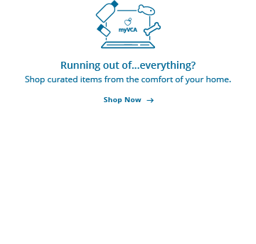 vca howell branch animal hospital