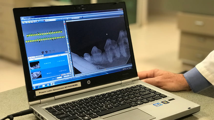 VCA Hualapai Animal Hospital Dentistry