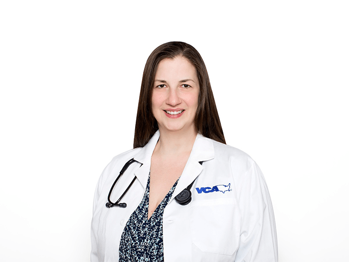 Bedford Hills Vets At Katonah Bedford Veterinary Center Primary