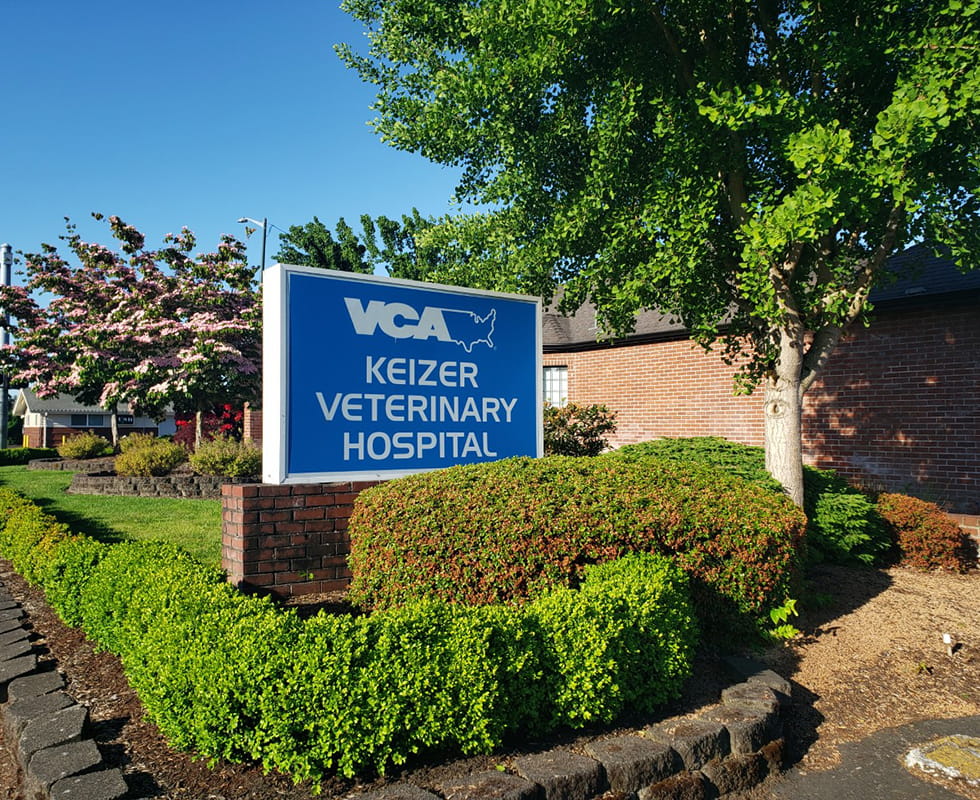Our Hospital VCA Keizer Veterinary Hospital