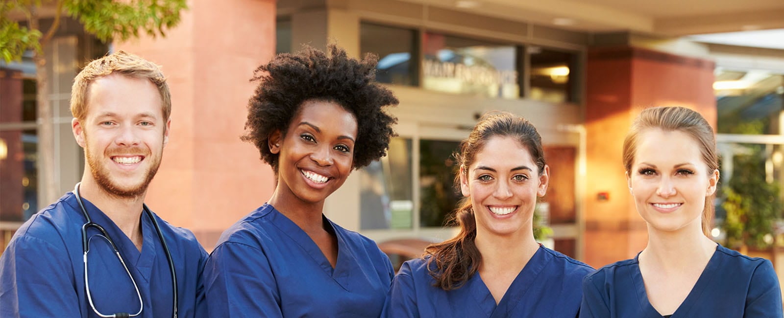 vca kent animal hospital