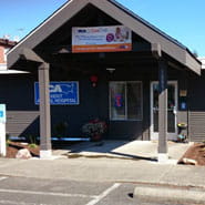 vca kent animal hospital