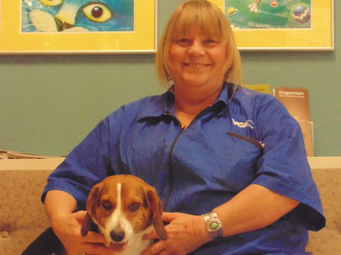 kickingbird veterinary clinic