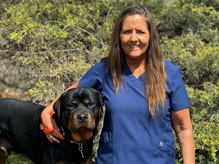 kickingbird veterinary clinic