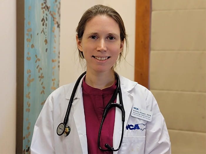 Ashley Roper Ashley Roper | VCA Kirkwood Animal Hospital