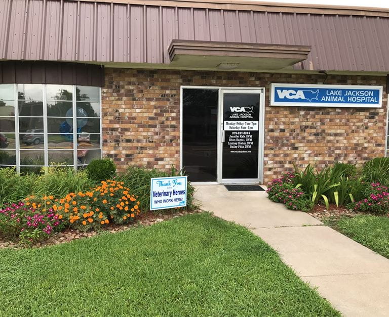 Our Hospital VCA Lake Jackson Animal Hospital