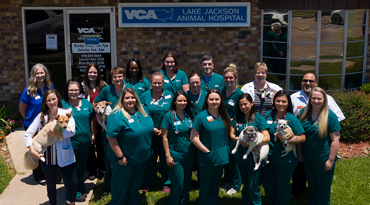 Team with Mosaic myVCA WOOFWare
