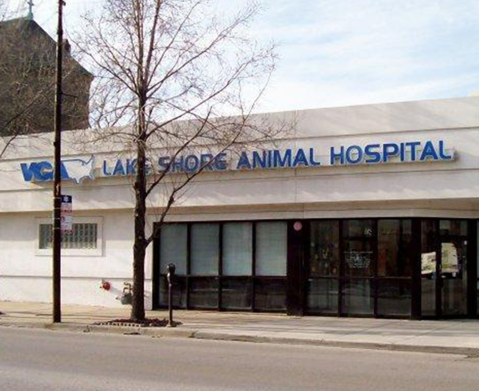 VCA Lake Shore Animal Hospital - Our Hospital