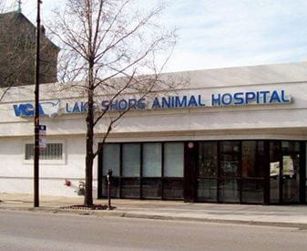 Our Hospital | VCA Lake Shore Animal Hospital
