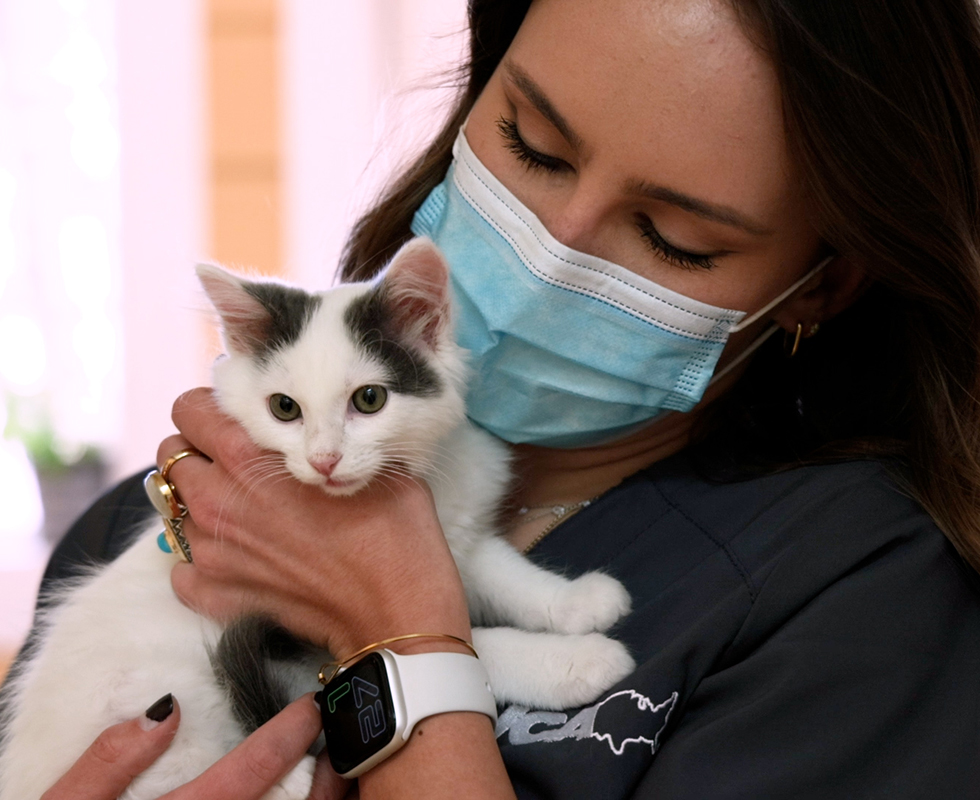 Veterinarian support staff with black and white cat at VCA Lakeline Animal Hospital