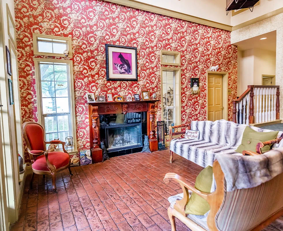 Our Hospital Vca Lakeline Animal Hospital